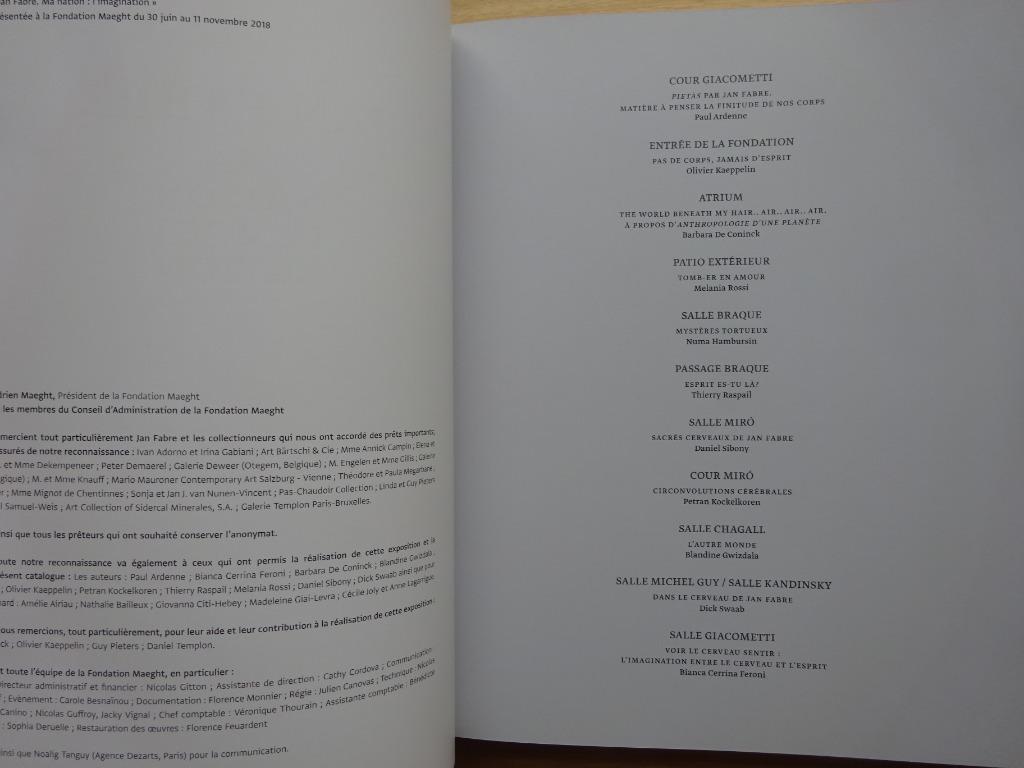 Jan Fabre, 2018, Ma Nation l'imagination, Fondation Maeght, Enlèvement ou Envoi, Neuf, Sculpture