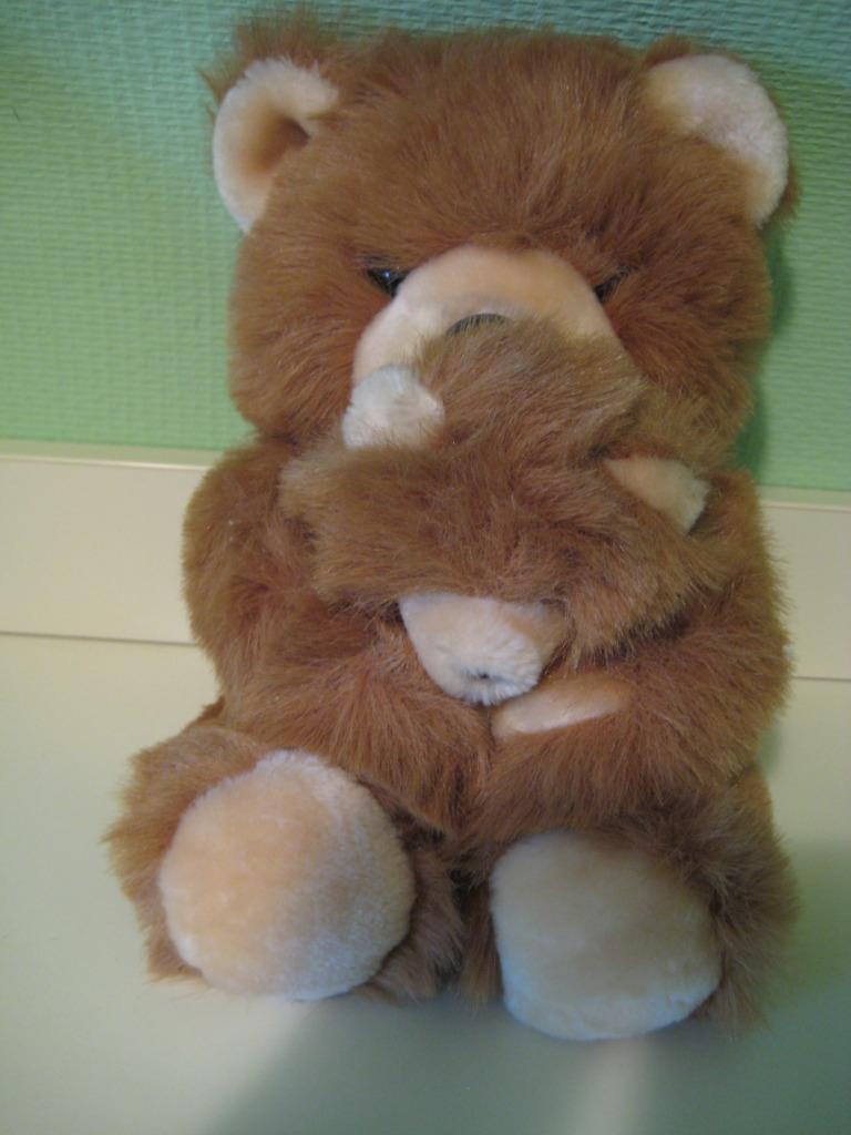 teddy beer, Verzamelen, Ophalen of Verzenden, Gebruikt