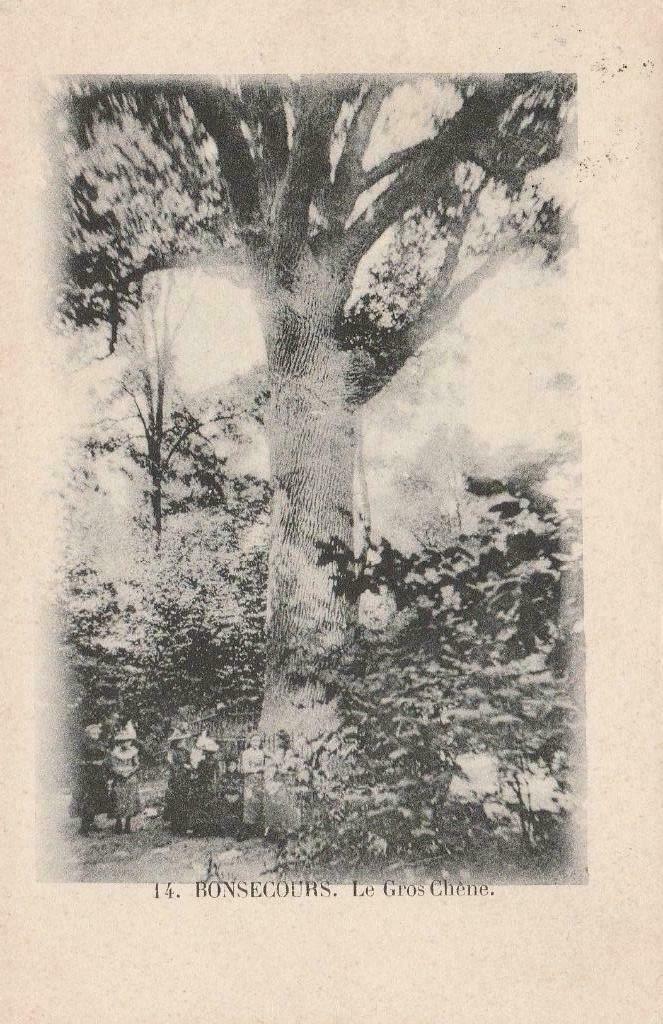 Bonsecours, Enlèvement ou Envoi, Avant 1920, Affranchie, Hainaut