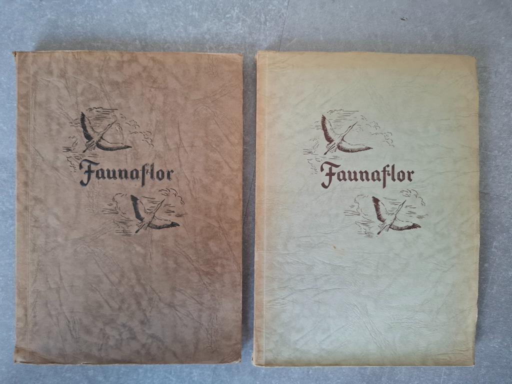 Prentenboek Faunaflor deel I en II, Boeken, Ophalen of Verzenden, Gelezen, Côte d'or, Prentenboek