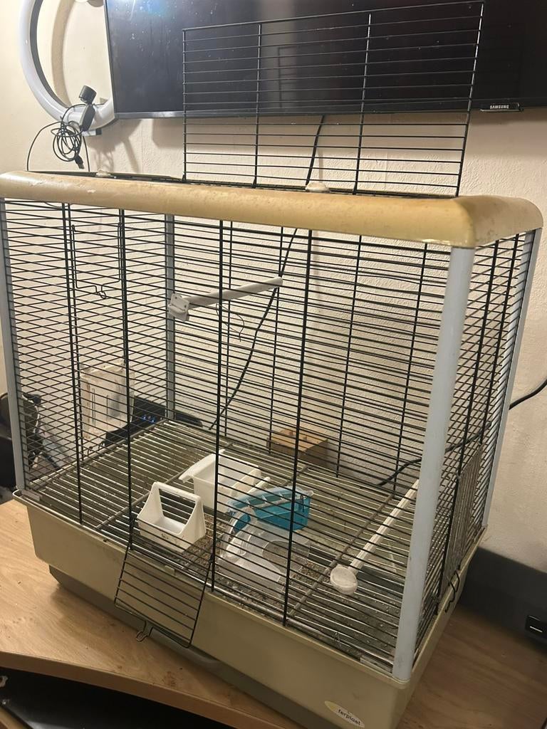 cage utilisé une fois, Enlèvement ou Envoi, Comme neuf, Métal, Cage à oiseaux