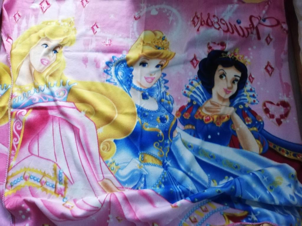 Plaid Disney princessen, Enlèvement, Autres personnages, Utilisé, Vêtements ou Textile