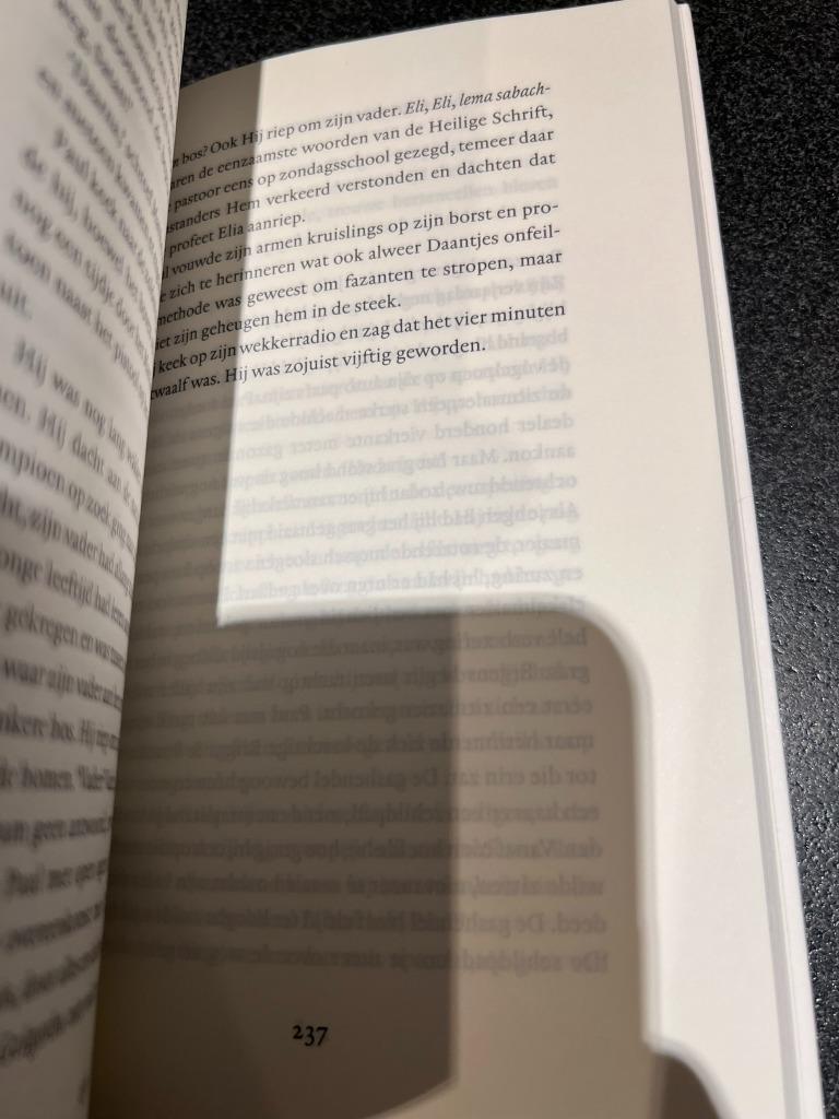 De heilige Rita - Tommy Wieringa, Boeken, België, Tommy Wieringa, Ophalen of Verzenden, Zo goed als nieuw