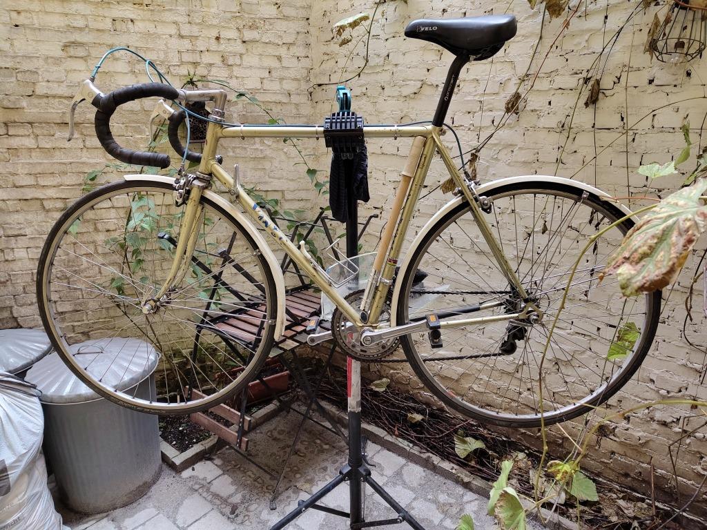 Viner randonneur maat 56, Fietsen en Brommers, Gebruikt, Versnellingen, 53 tot 57 cm, Ophalen