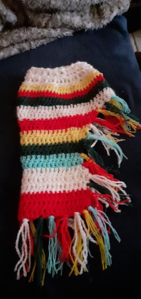 Poncho chien 30cms, Enlèvement ou Envoi, Neuf