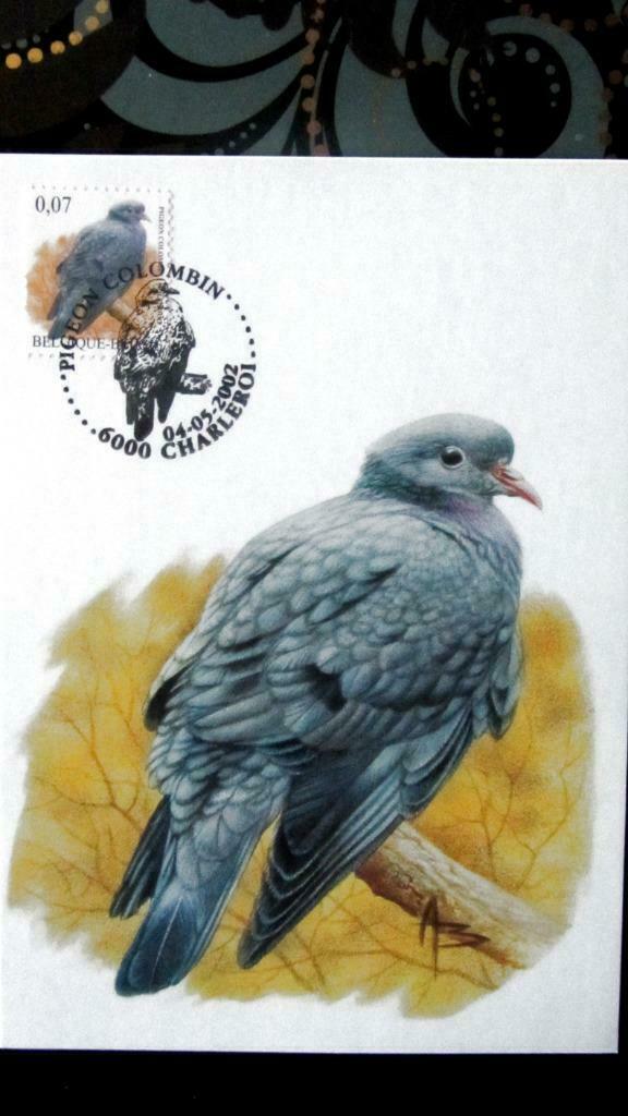 FIRST DAY OP KAART- VOGELS VAN BUZIN- DE HOLENDUIF, Ophalen of Verzenden, Gestempeld, Dier of Natuur