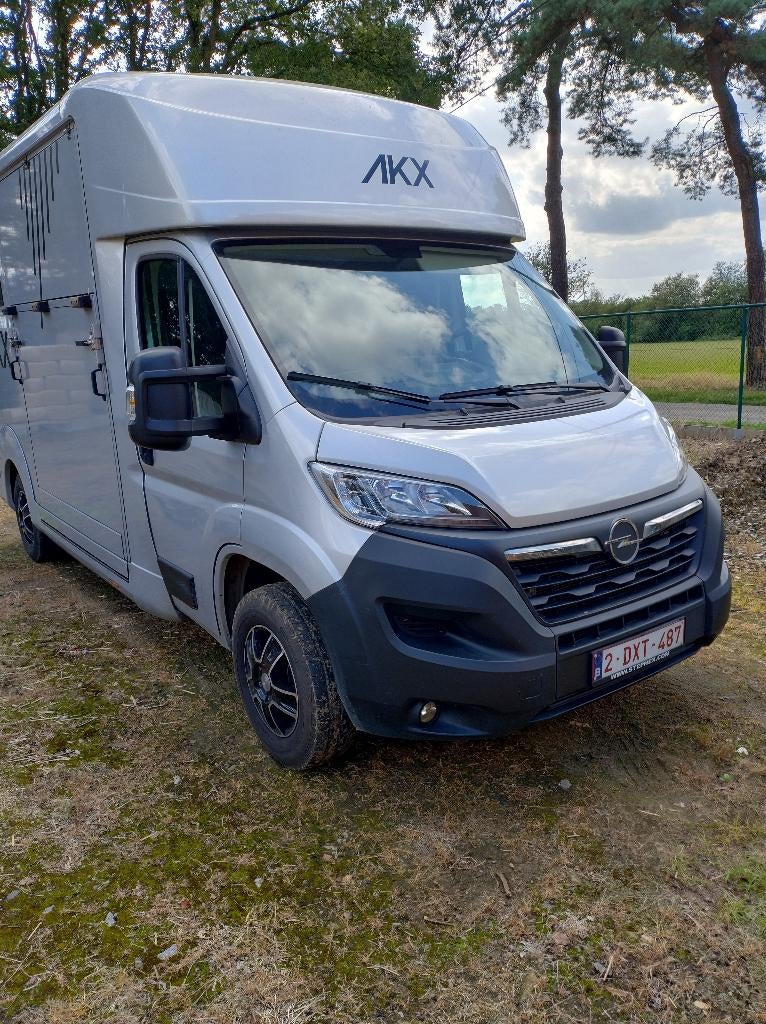 Paardencamionette te huur, Paard of Pony