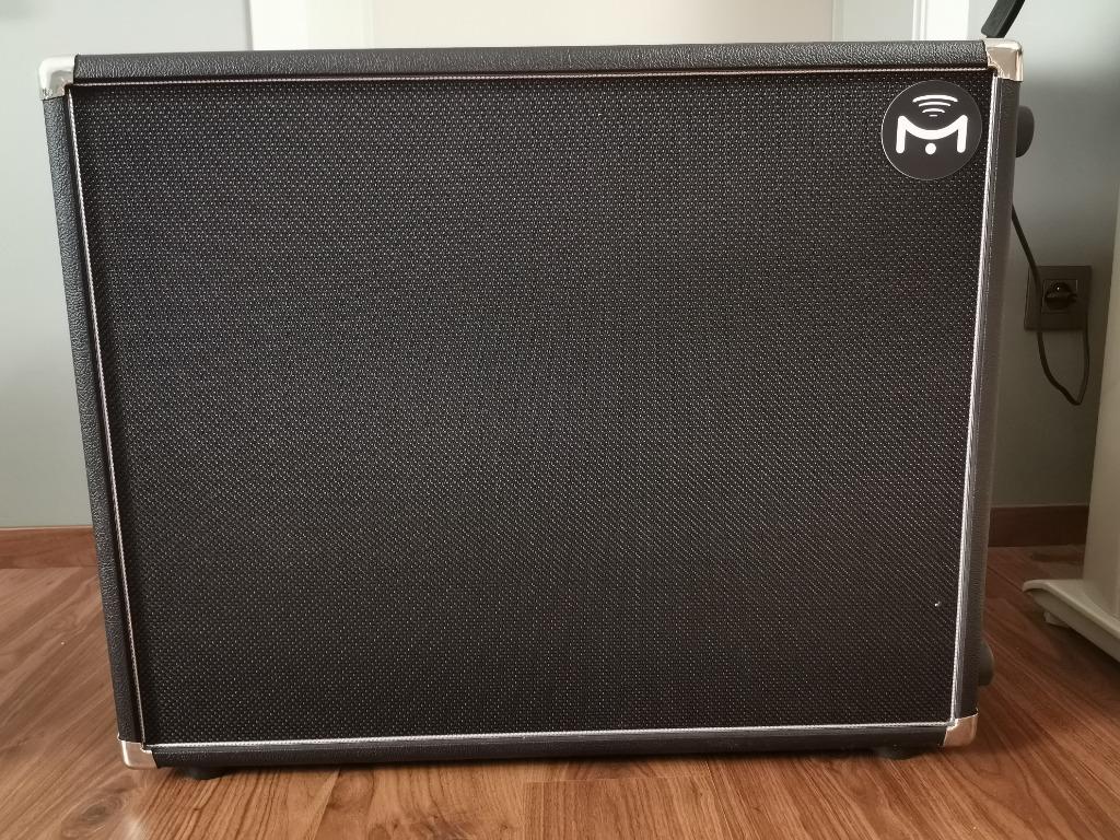 Mission Engineering Gemini 2 FRFR, Musique & Instruments, Enlèvement, Comme neuf, Guitare, 100 watts ou plus
