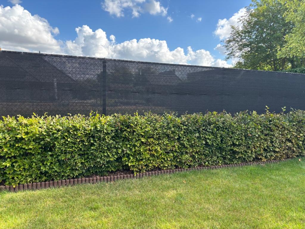 Beukenhaag, Tuin en Terras, Planten | Struiken en Hagen, Ophalen, Beukenhaag, Haag, 100 tot 250 cm