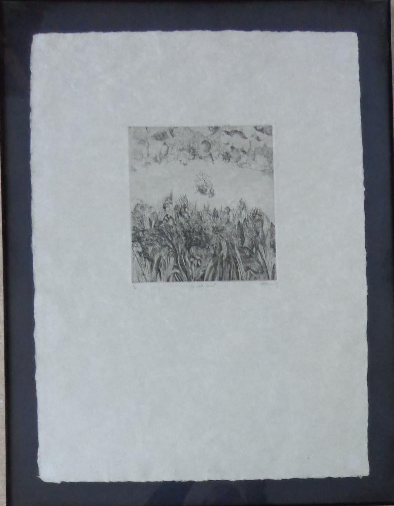 FRANS MINNAERT / HIJ WIL ERUIT / ZW-W ETS / 87x67cm / KADER, Enlèvement