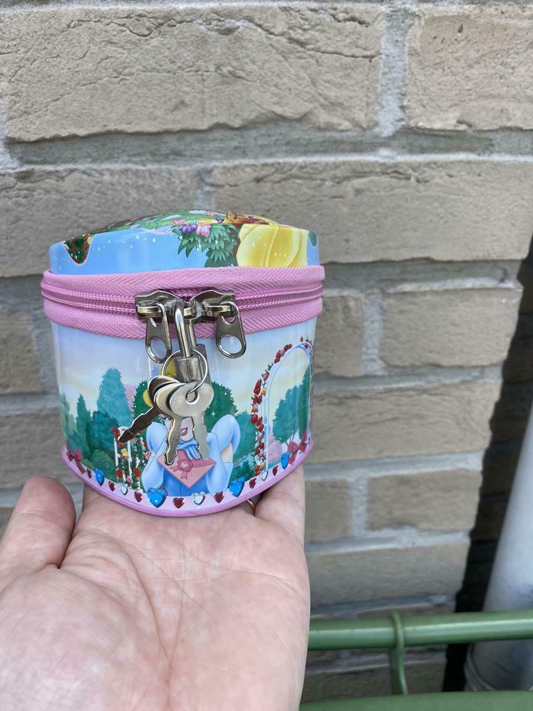 Spaarpot prinsessen, Enlèvement