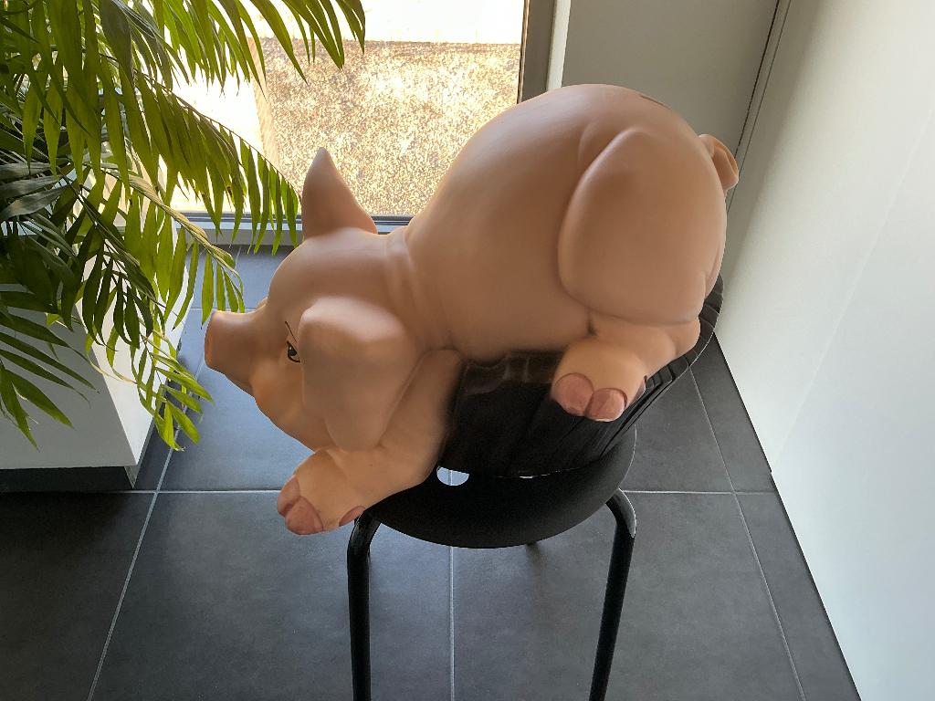 Spaarpot, Ophalen, Gebruikt