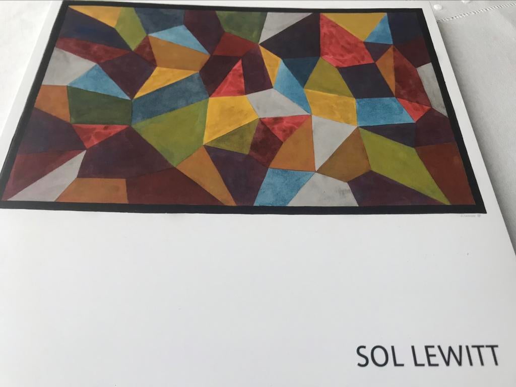 Sol Lewitt Drawings 100pag, Ophalen of Verzenden, Zo goed als nieuw, Schilder- en Tekenkunst