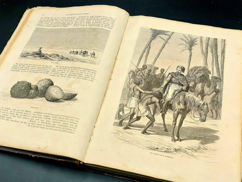 De Aarde en haar Volken (5e deel - 1869), Boeken, Geschiedenis | Wereld, Ophalen