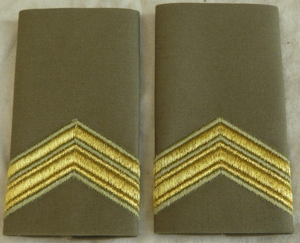Rang Onderscheiding Regenjas, Sgt. 1e Kl, KL, vanaf 2000.(1), Verzamelen, Militaria | Algemeen, Ophalen of Verzenden, Landmacht