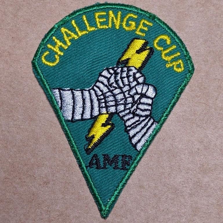 Forces mobiles alliées des États-Unis (AMF), Enlèvement ou Envoi, Armée de l'air, Emblème ou Badge