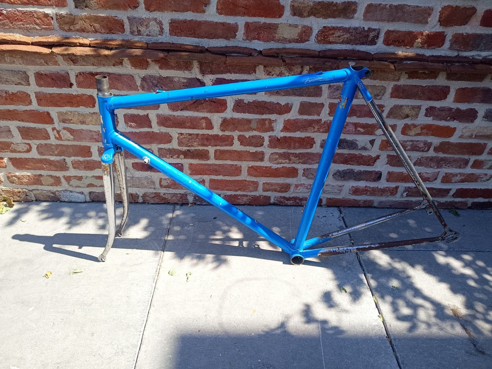 Set de cadres Pinarello, Enlèvement ou Envoi