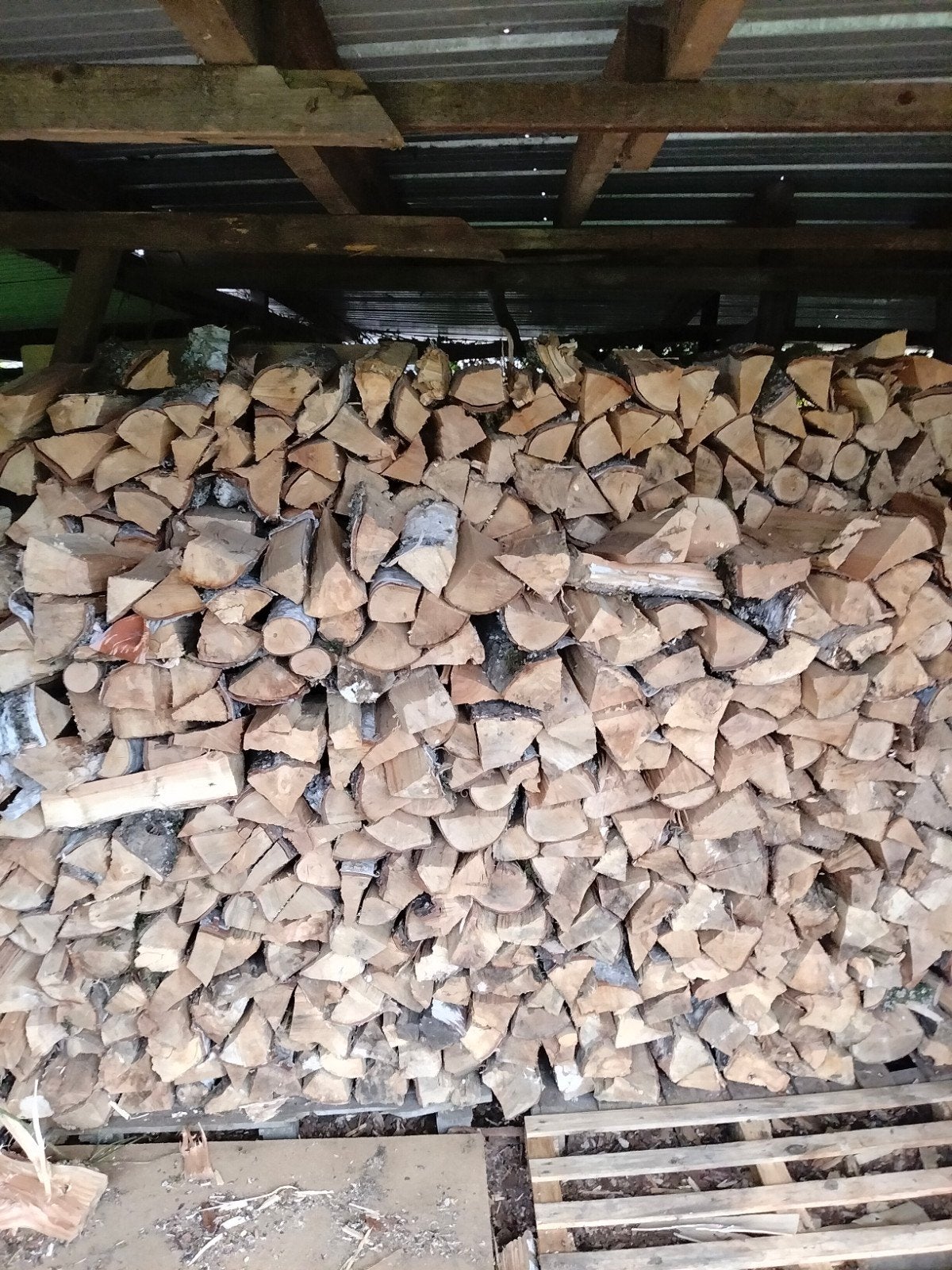 droog brandhout berk, Tuin en Terras, Ophalen of Verzenden