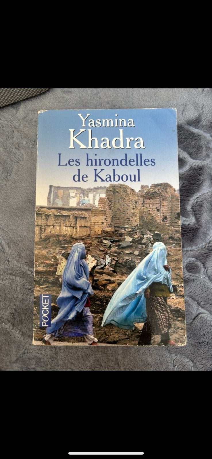 Livre les Hirondelles de Kaboul, Boeken, Historische romans, Ophalen, Gelezen