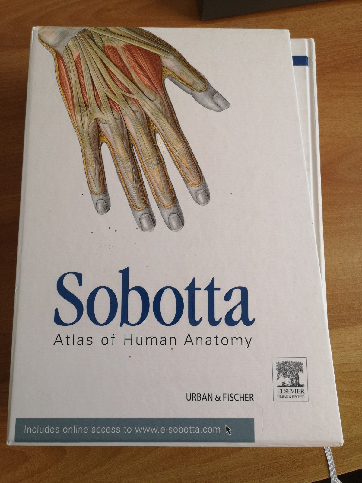 Sobotta engelstalig 4 delig geneeskunde, Boeken, Ophalen