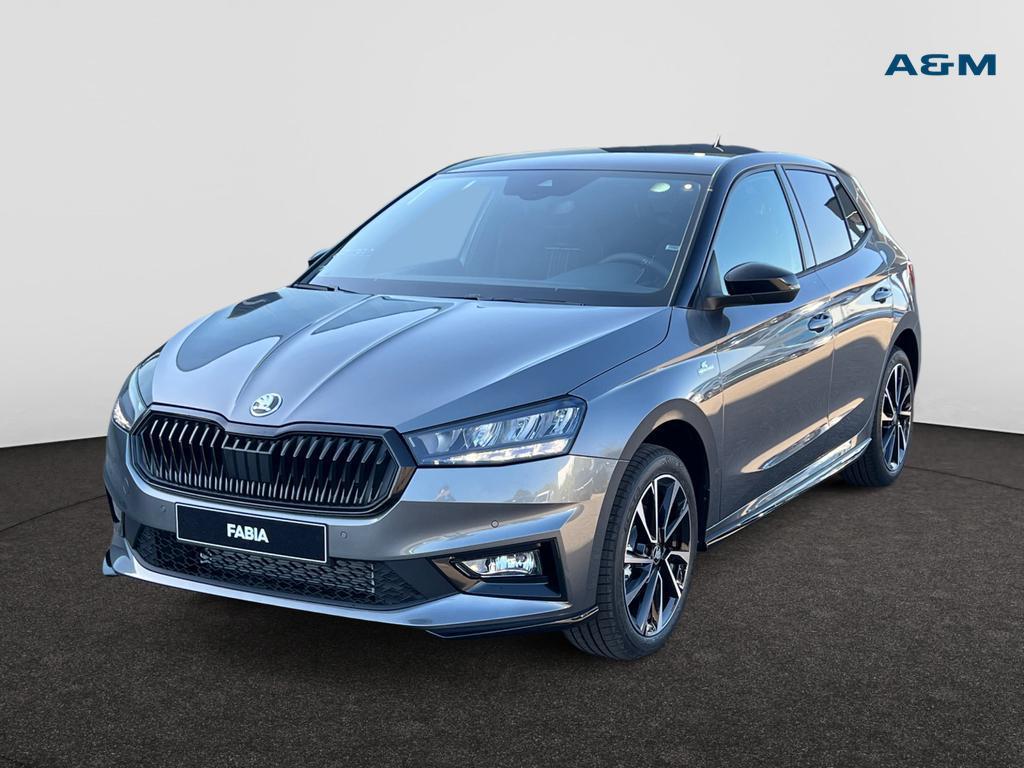 Skoda Fabia Fabia 1.0 TSI Monte Carlo DSG, Auto's, https://public.car-pass.be/vhr/2c331f9b-9bda-405d-a346-ca5dd9500bde, Airbags