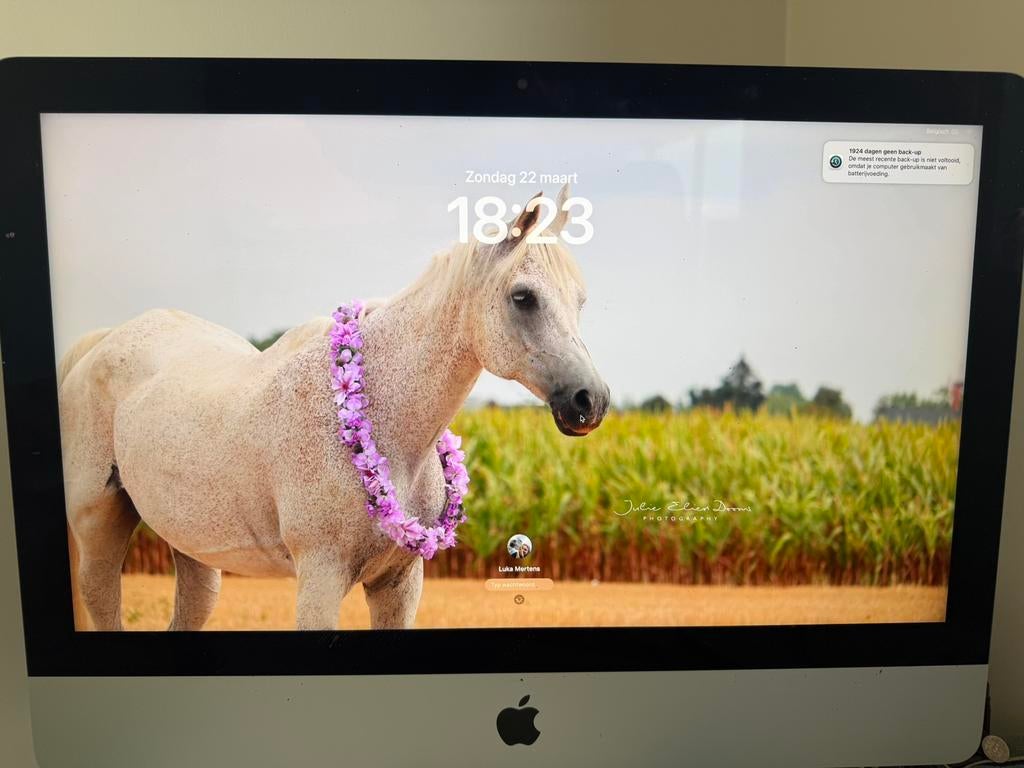iMac i3 3,6 GHz 21,5” SSD 256 Gb, Informatique & Logiciels, IMac, Comme neuf, 21.5", 8 GB