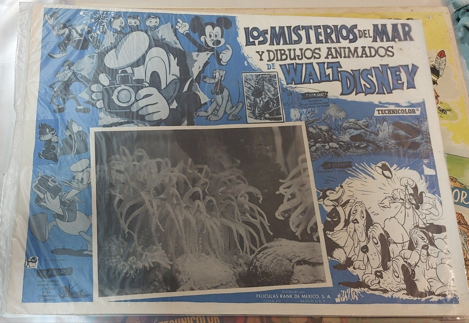 Spaanse lobbykaart Walt Disney 1959, Verzamelen, Ophalen