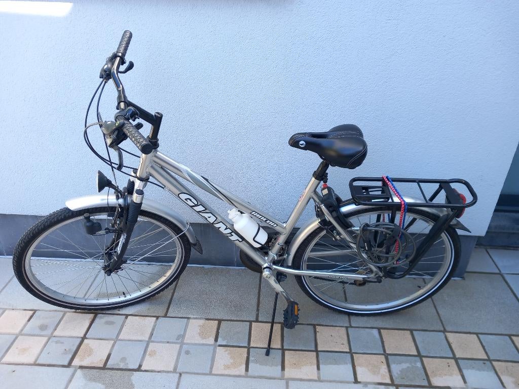 Fiets - Giant Rinco, frame M, Fietsen en Brommers, Fietsen | Dames | Damesfietsen, Zo goed als nieuw, Giant, Versnellingen, Ophalen