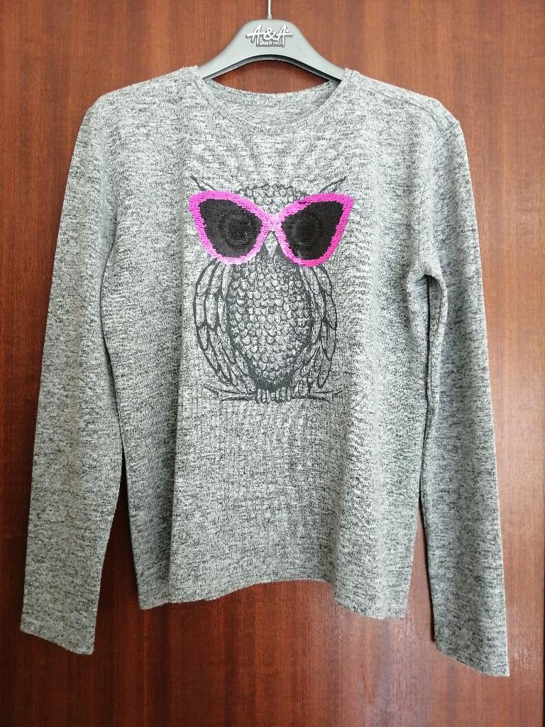 T-shirt lange mouwen met uil, Kinderen en Baby's, Kinderkleding | Maat 158, Ophalen of Verzenden, Zo goed als nieuw, Meisje, Shirt of Longsleeve