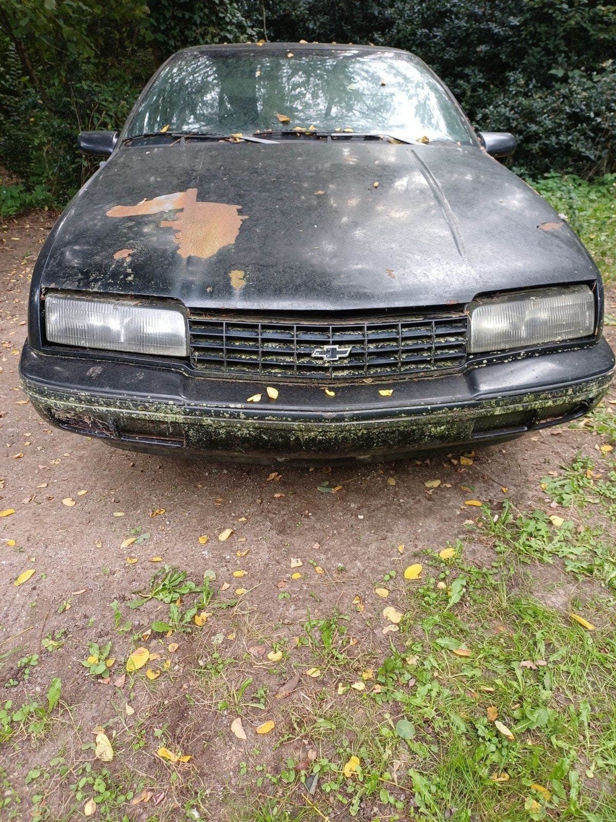 oldtimer, Auto's, Voorwielaandrijving, Stof, Zwart, Chevrolet