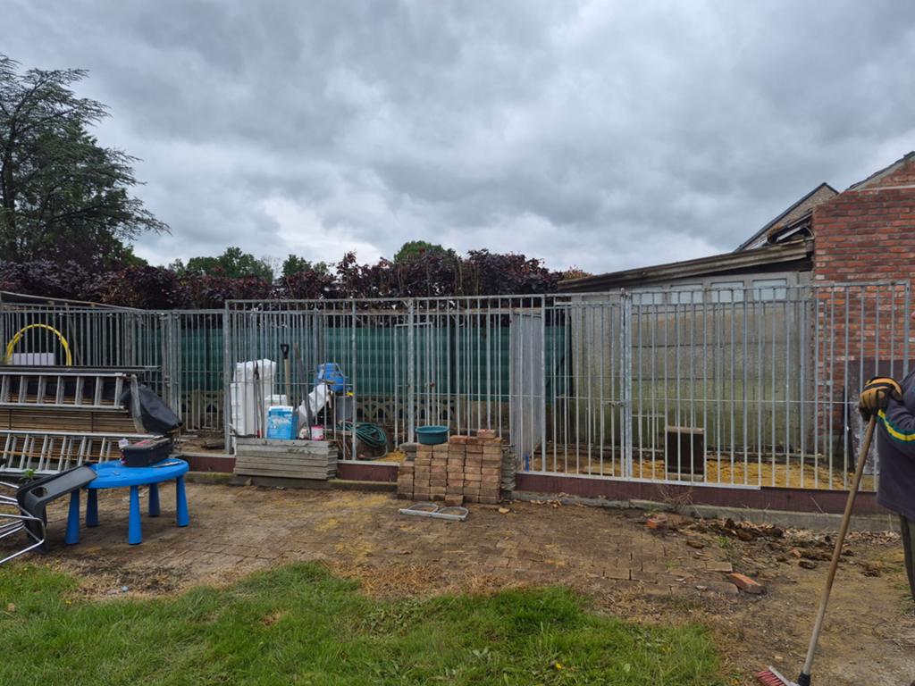3 honden rennen te koop, Dieren en Toebehoren, Ophalen