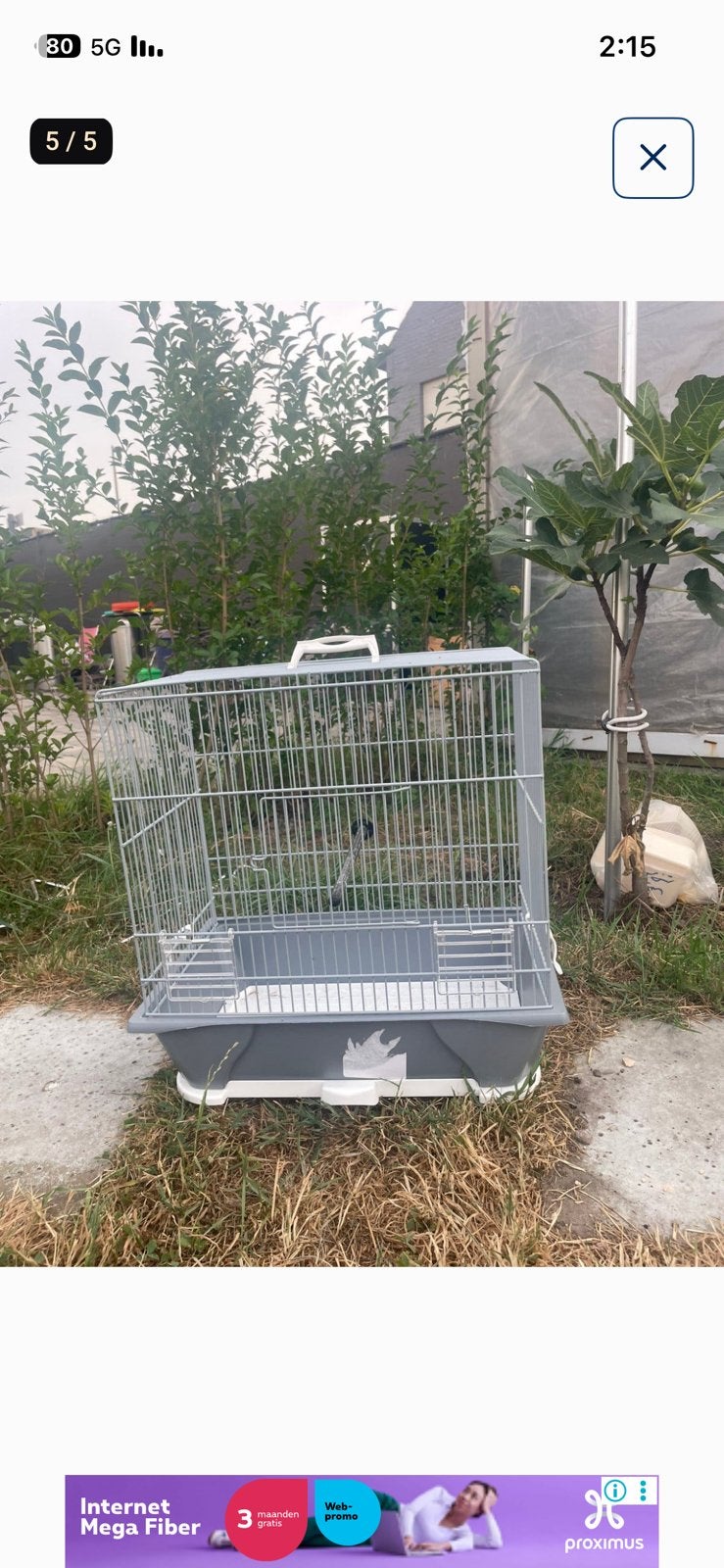 Kooien, Dieren en Toebehoren