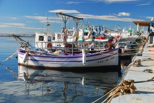 Rosas, profiter du beau temps à la plage..., Vacances, Maisons de vacances | Espagne, Propriétaire, Ville, 1 chambre, Costa Brava