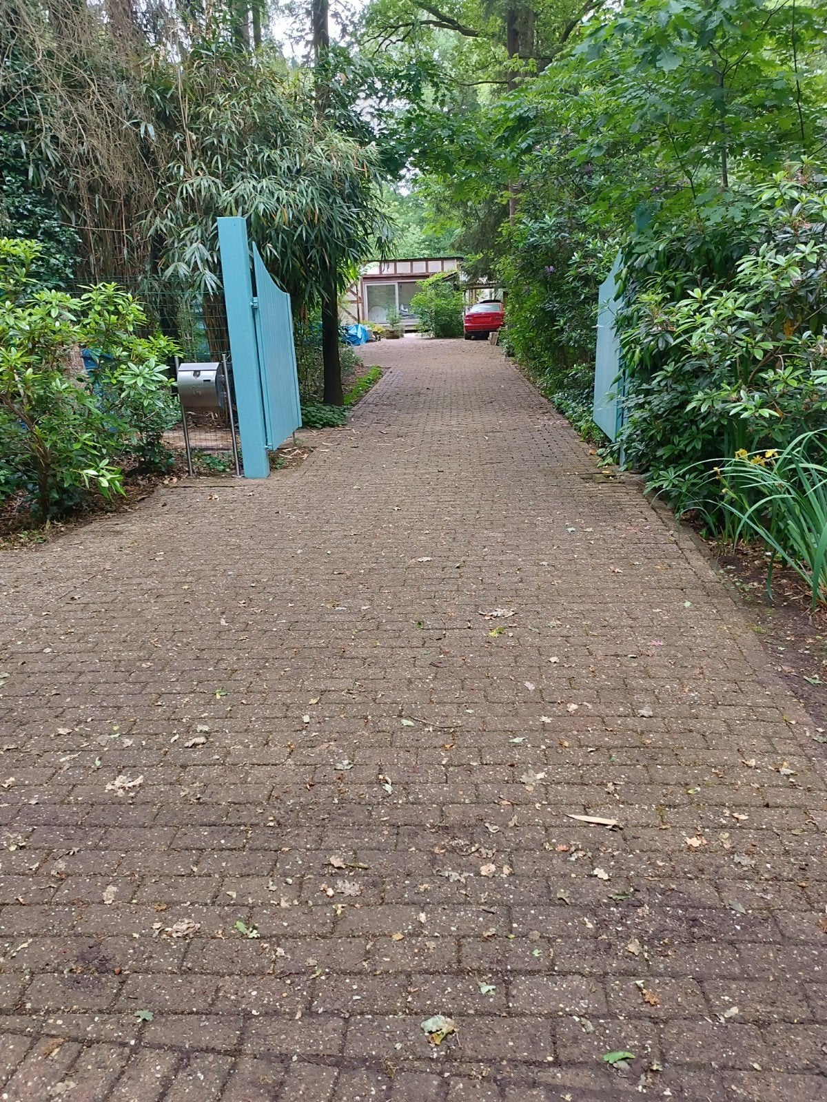 laagbouw woning te huur in Brasschaat 1100€, Immo