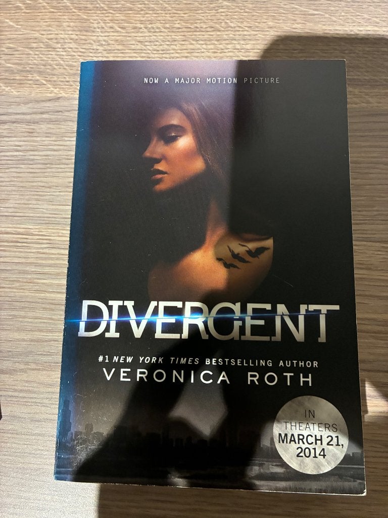 Boek Divergent, Gelezen, Veronica Roth, Ophalen of Verzenden, Fictie