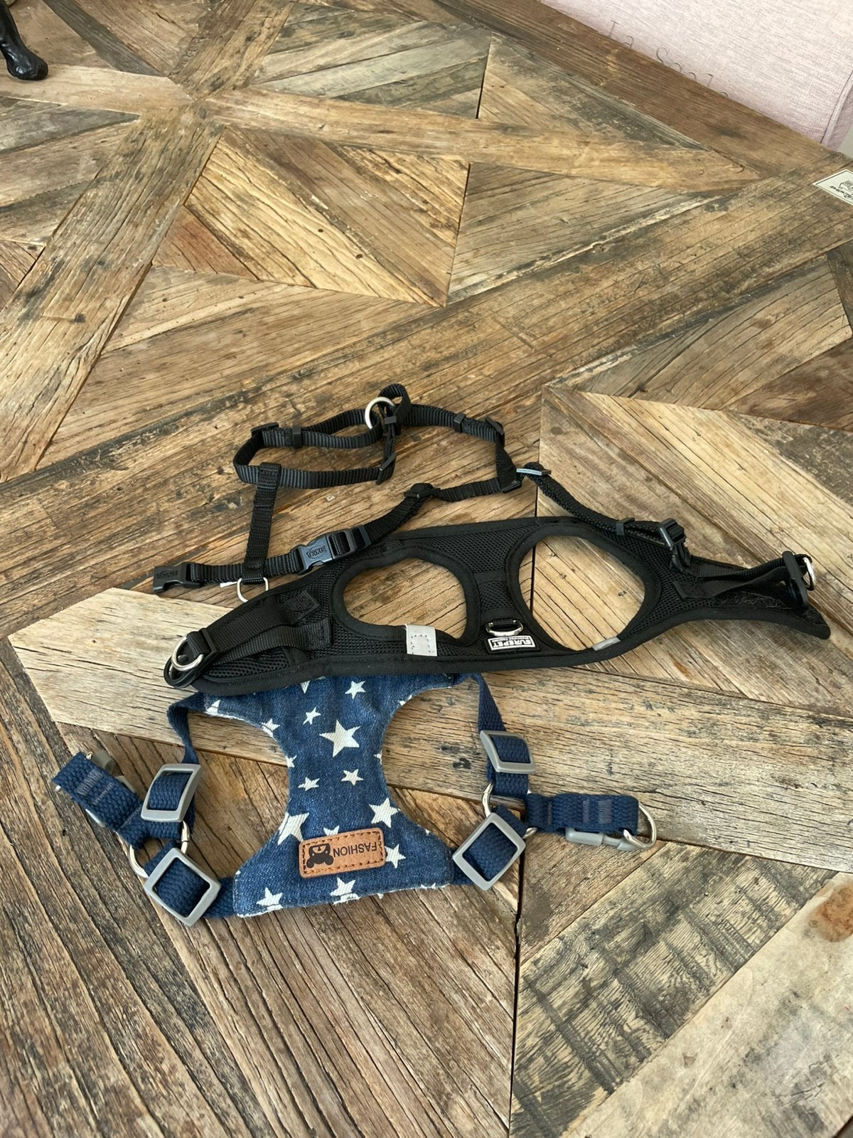 Harnais pour chiens XS pour chiots ou petites races, Enlèvement, Comme neuf, Laisse pour chien