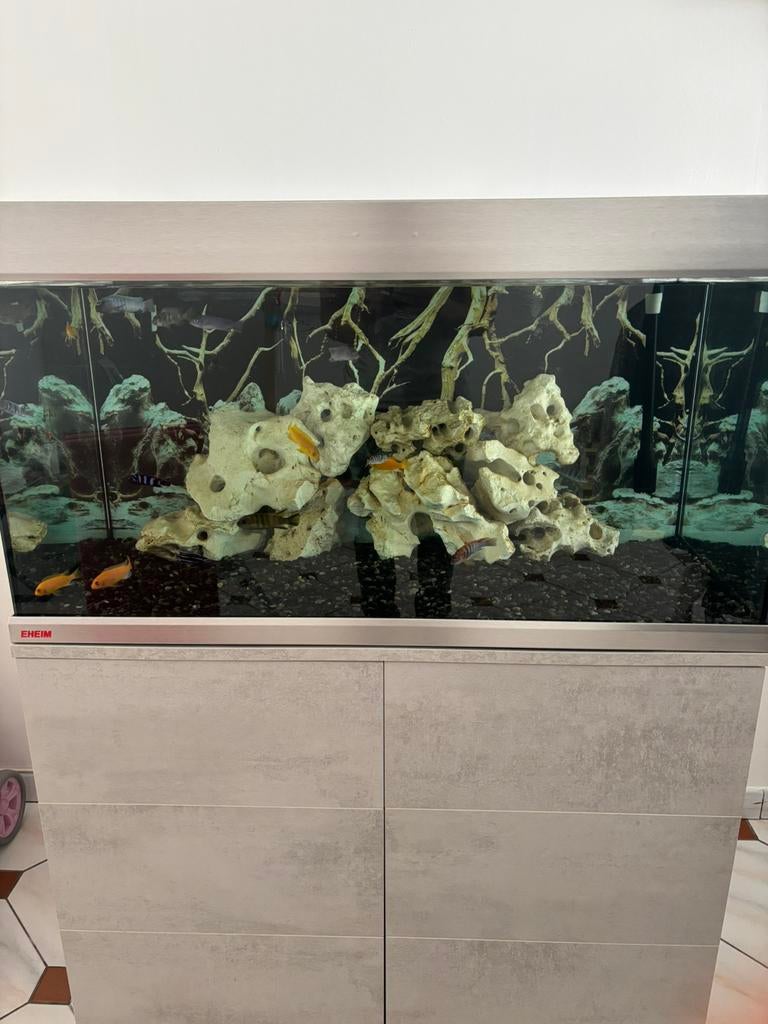 Aquarium Eheim Complet, Animaux & Accessoires, Enlèvement, Comme neuf, Eheim