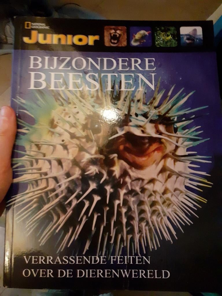 Informatief kinderboek over dieren, Boeken, Ophalen of Verzenden, Zo goed als nieuw, Overige diersoorten