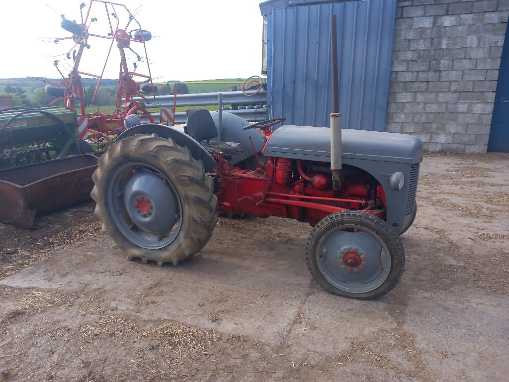Ferguson FF30 DS, Articles professionnels, Agriculture | Tracteurs, Massey Ferguson, jusqu'à 80 ch, Oldtimer/Ancêtre, Enlèvement
