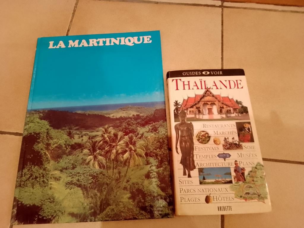 2 livres de voyage à donner gratuitement, Livres, Enlèvement, Utilisé