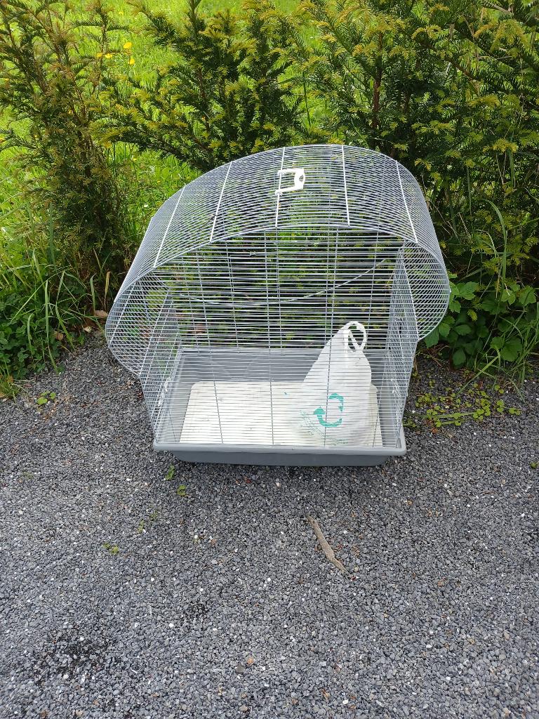 Cache a oiseaux, Dieren en Toebehoren, Vogels | Hokken en Kooien, Ophalen, Nieuw, Kunststof, Vogelkooi
