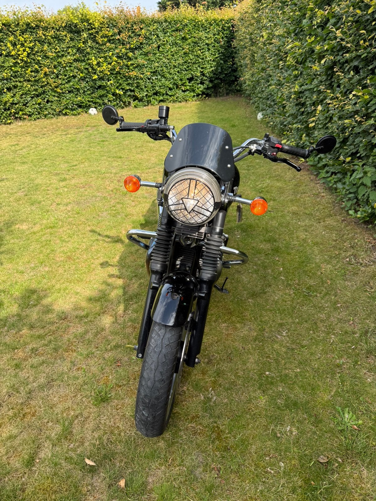 Triumph Bonneville, Permis Moto A, Occasion, Plus de 35 kW, 2 cylindres
