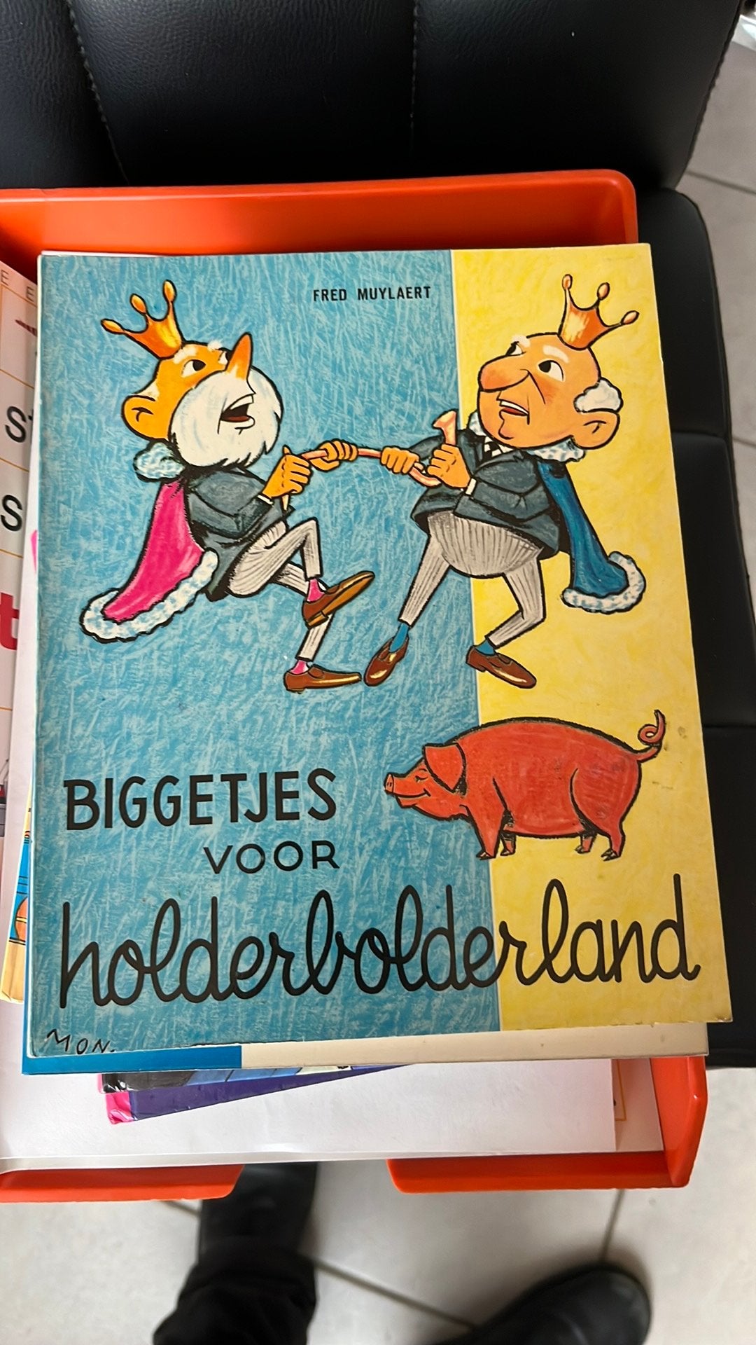Vintage kinderboek: Biggetjes voor Holderbolderland1966-ZGAN, Ophalen, Zo goed als nieuw