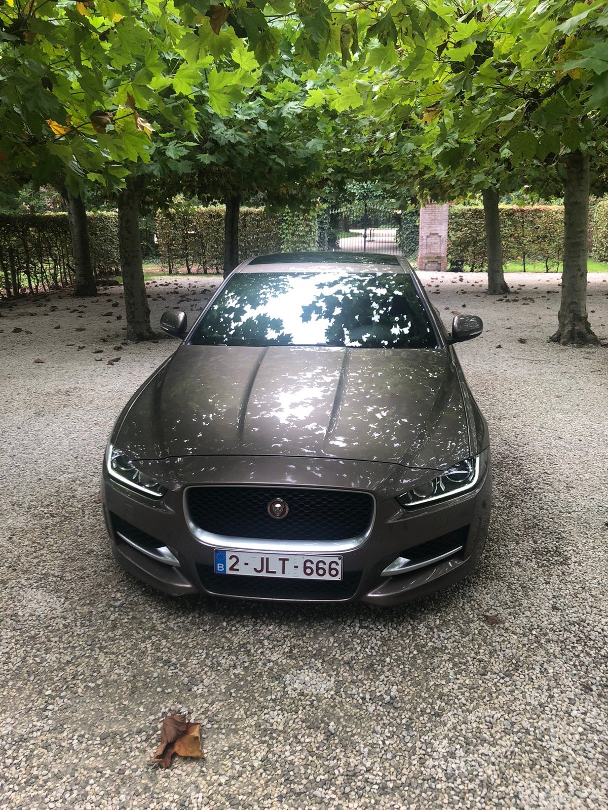JAGUAR XE, Carnet d'entretien, Noir, Automatique, Particulier