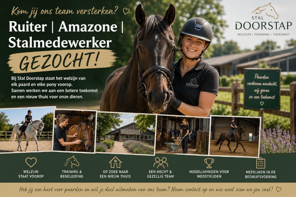 Ruiter | Amazone | Stalmedewerker Gezocht, Horaire variable, À partir de 1 an, Autres formes, Convient comme travail d'appoint