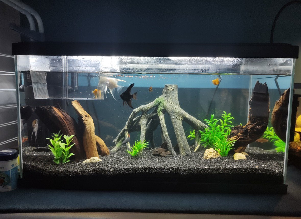 Aquarium te koop., Ophalen, Gebruikt, Filter