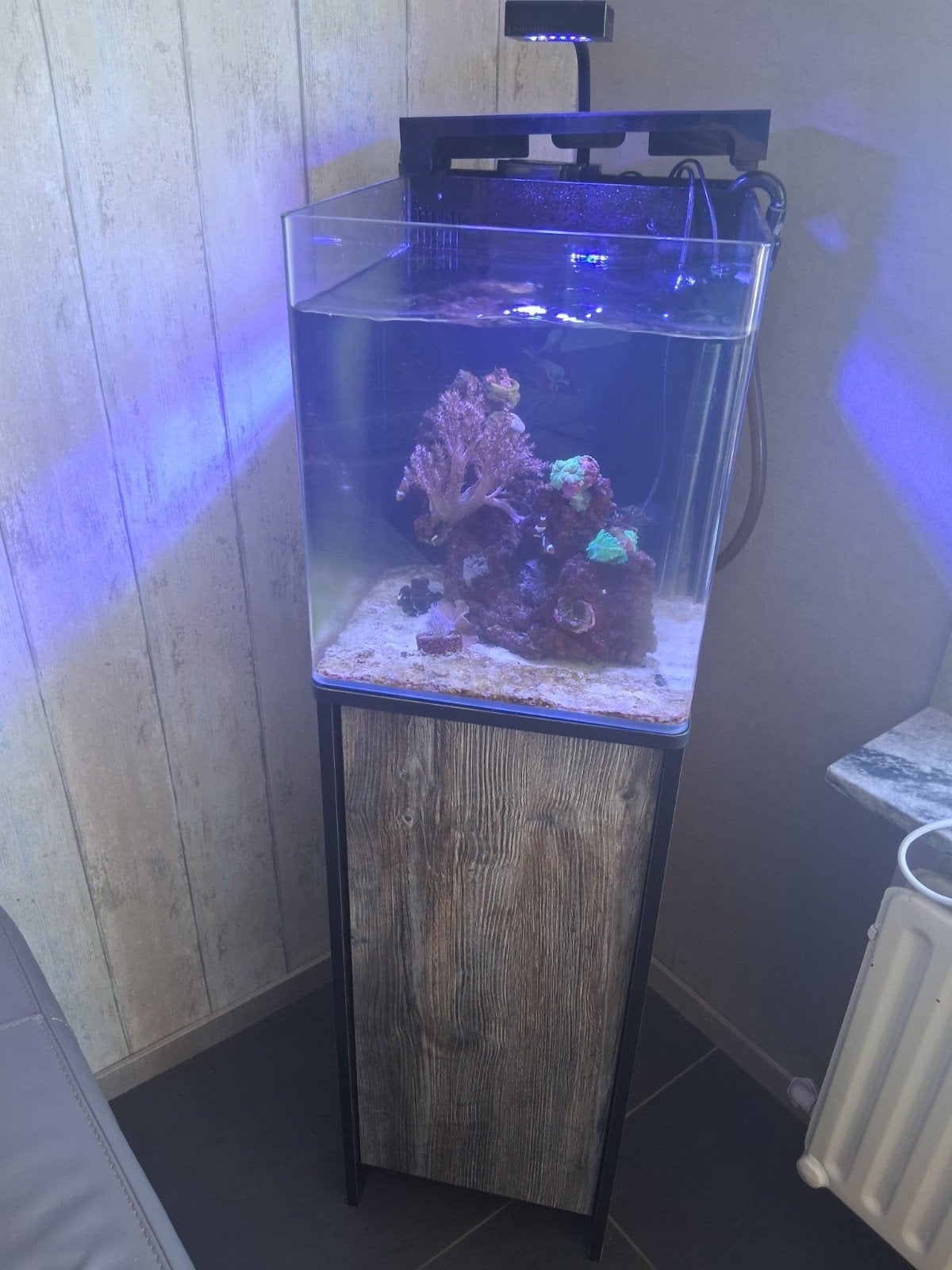 zeeaquarium, Dieren en Toebehoren, Vissen | Aquaria en Toebehoren, Ophalen
