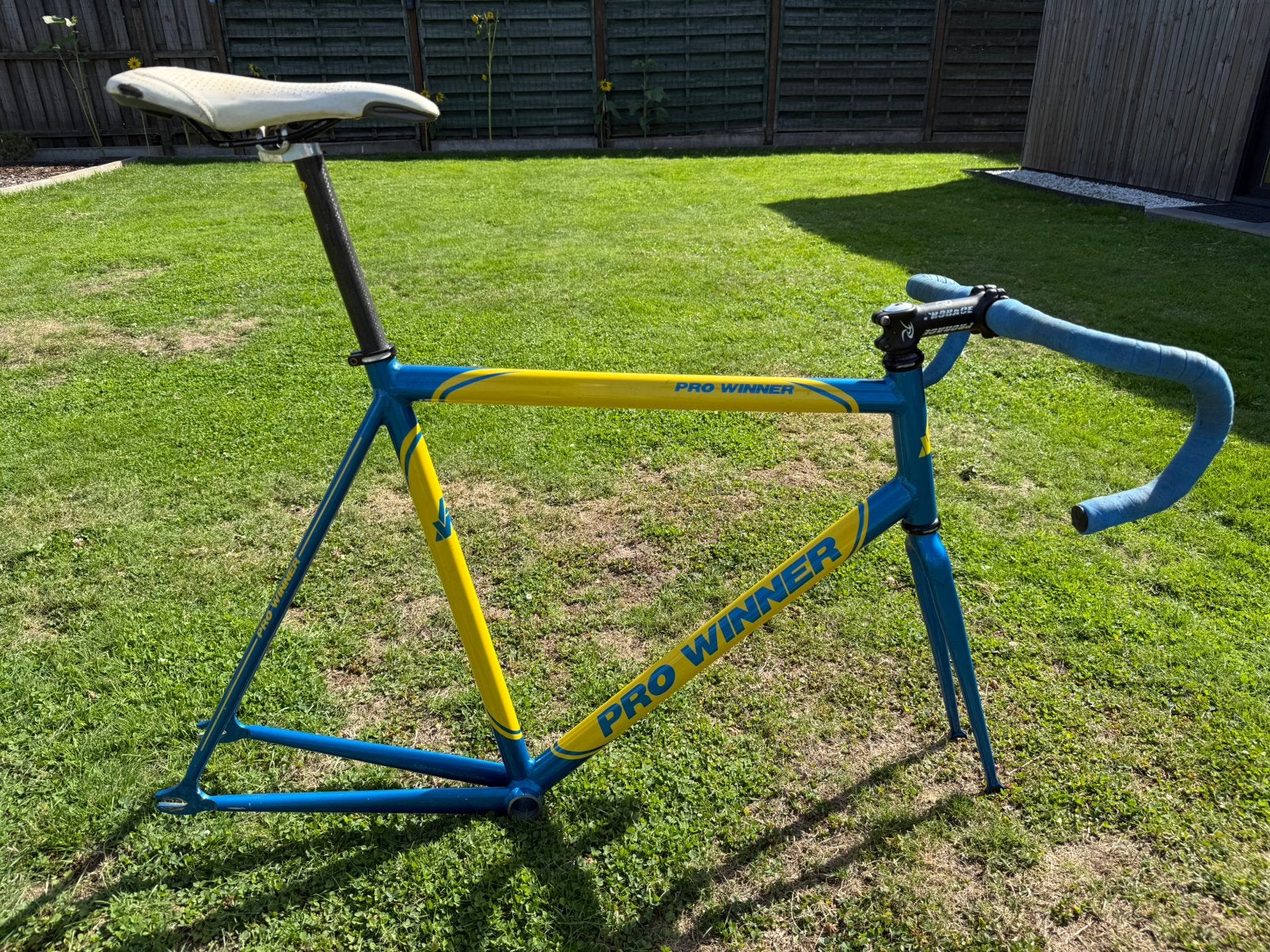Fietsframe, Fietsen en Brommers, Ophalen, Gebruikt