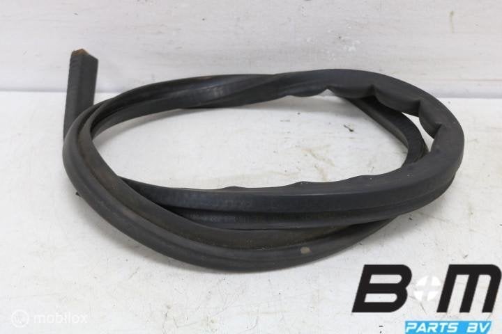 Parafaanrubber VW Caddy 2K 1T0823723C, Utilisé