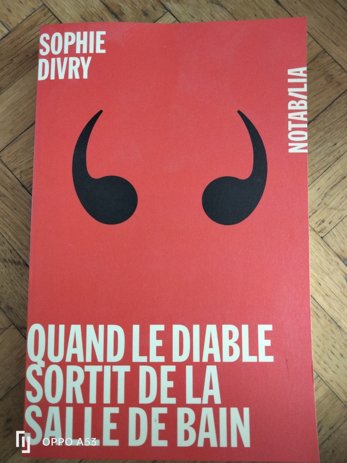 Quand le diable sortit de la salle de bain, Sophie Divry, Enlèvement ou Envoi